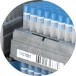 17-10_ELRIGfr_sample-storage.jpg