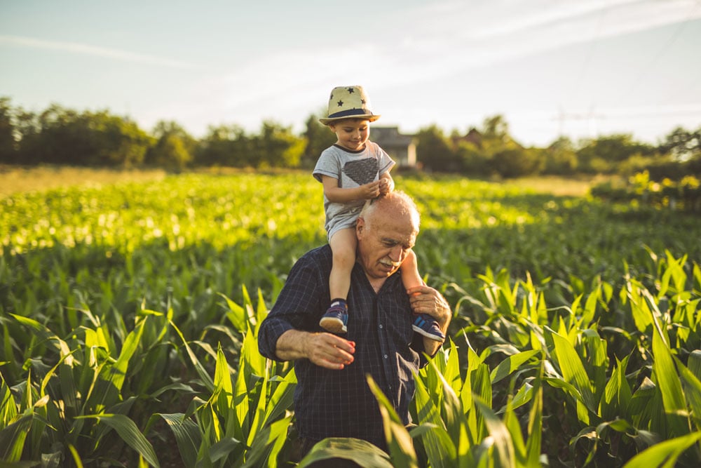 applications-agriculture